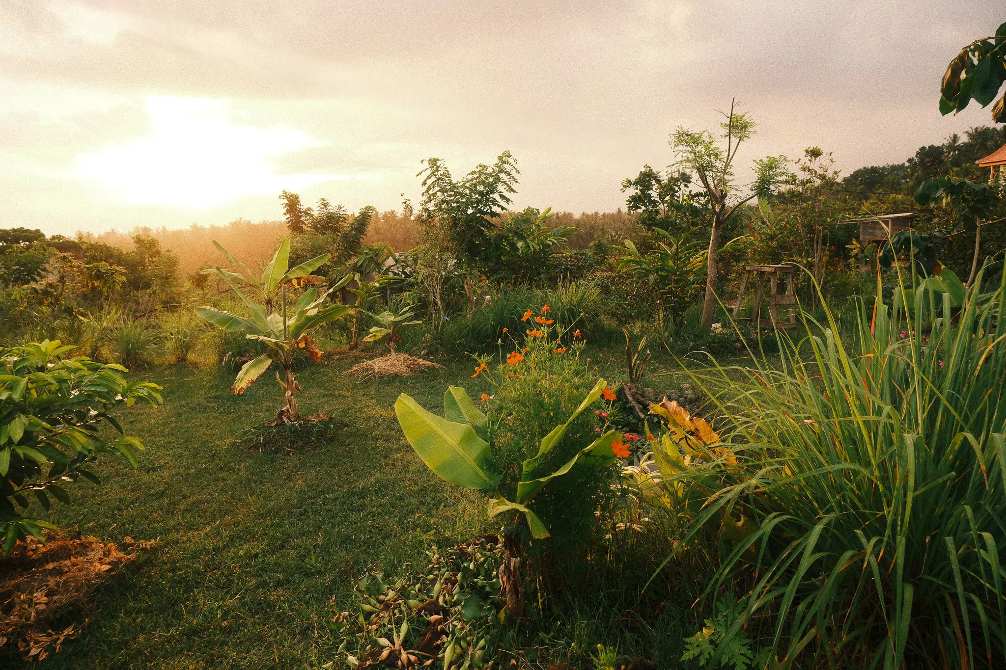 Nature At Home